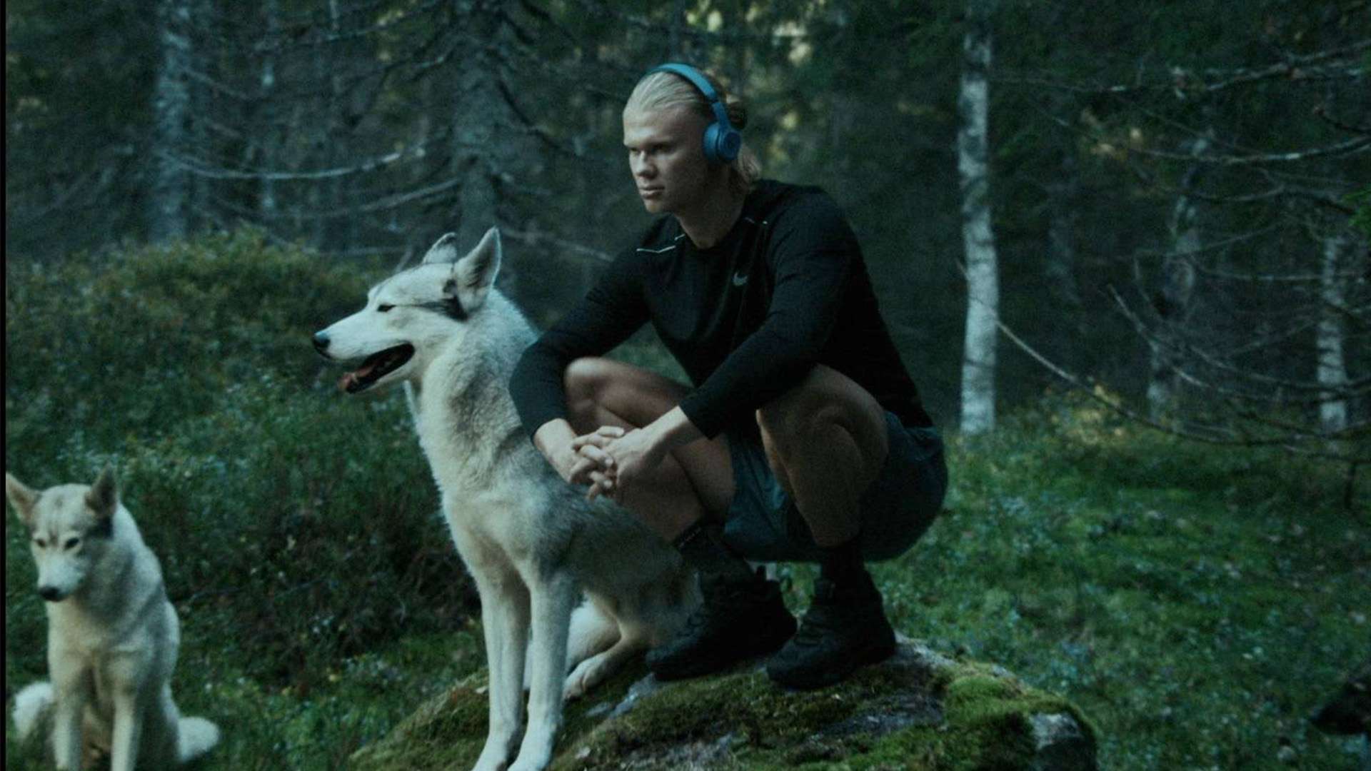 這位女性的 這位女性的