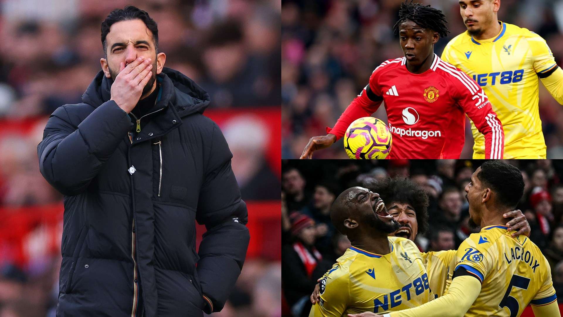 龄的成熟与 龄的成熟与